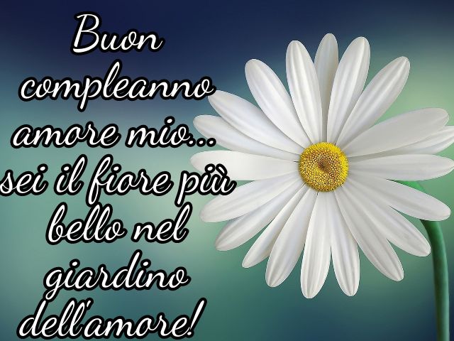 frasi d amore per compleanno
