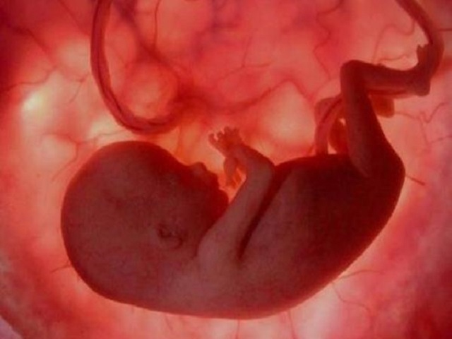 feto 12 settimana foto
