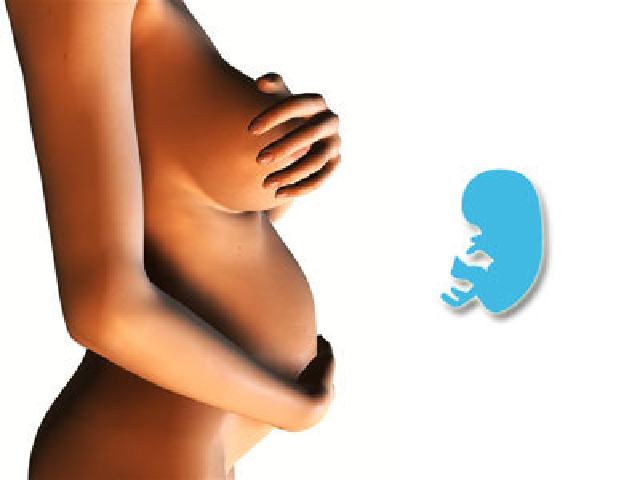 17 settimane di gravidanza pancia