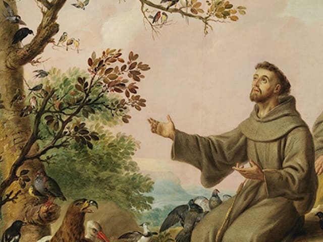 San Francesco immagini