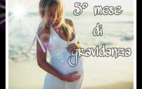 quinto mese di gravidanza