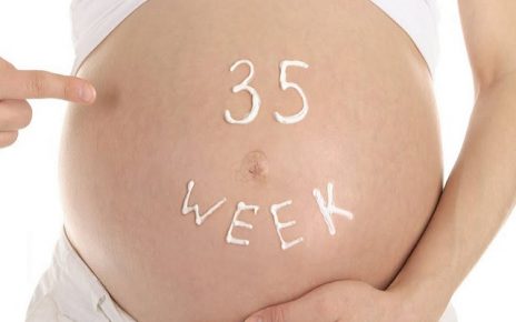 feto 35 settimane peso
