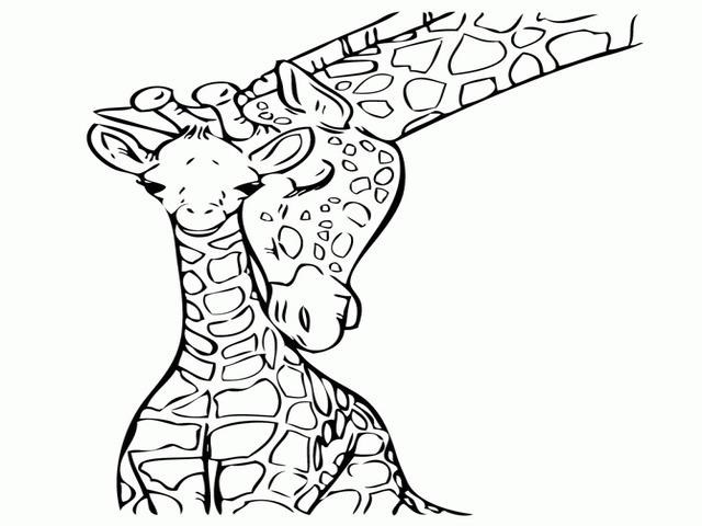 disegni da colorare giraffa pdf