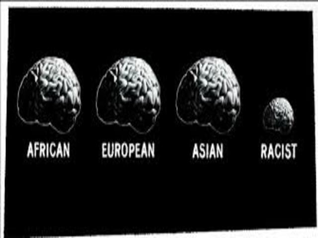 il razzismo