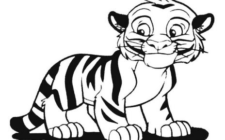 tigre disegno