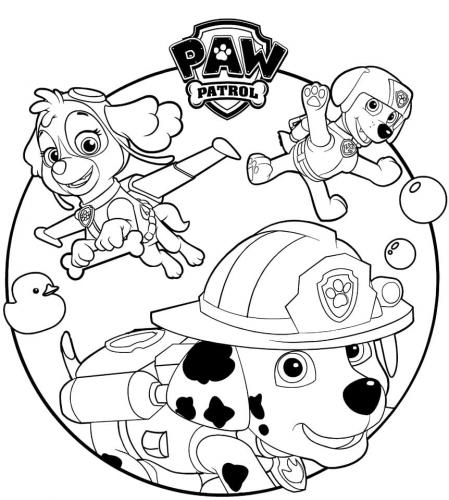Disegni da colorare paw patrol cuccioli a tutto donna for Disegni da colorare e stampare della paw patrol