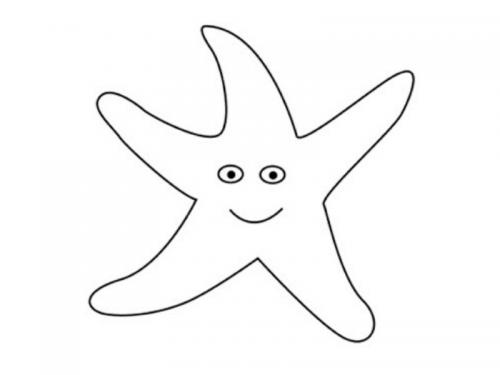 stella di mare