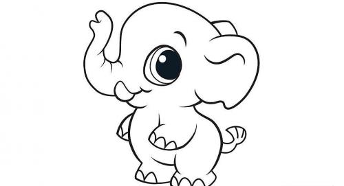 baby elefante