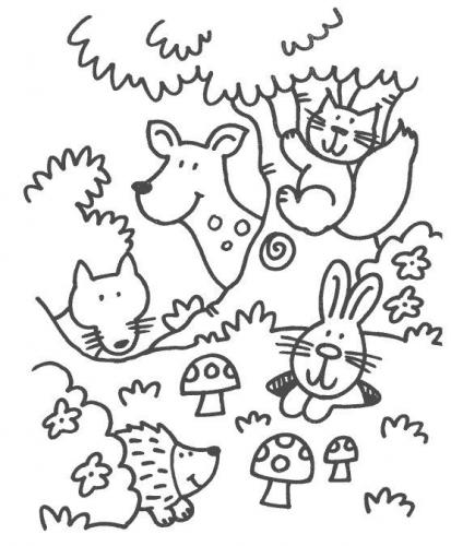 animali nel bosco