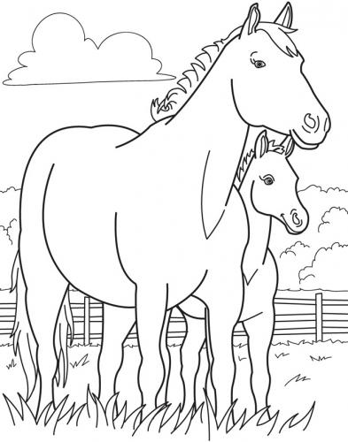 cavallo gratis da colorare