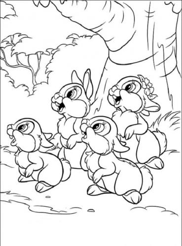 Conigli disegno