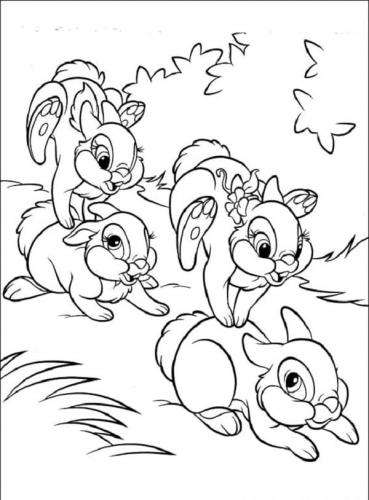 Coniglietti disegni