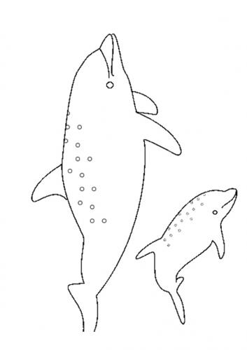 delfini disegno