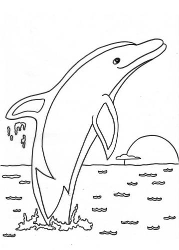 delfini per bambini