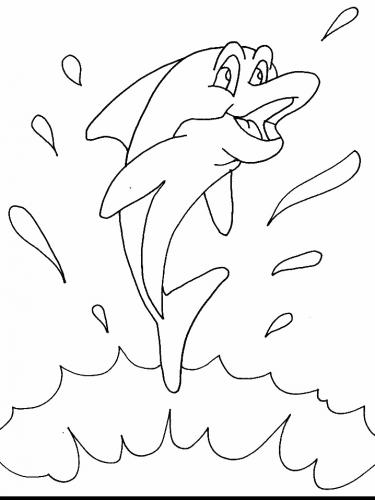 delfino disegni