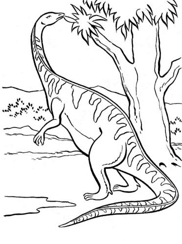 dinosauro disegno