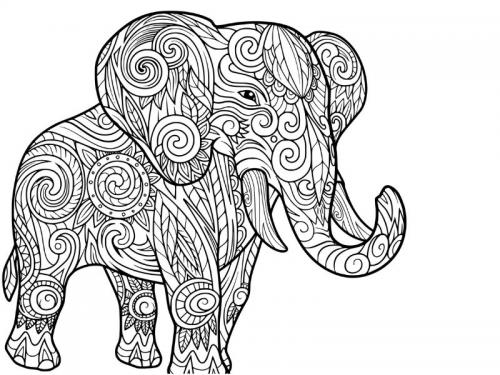 mandala elefante
