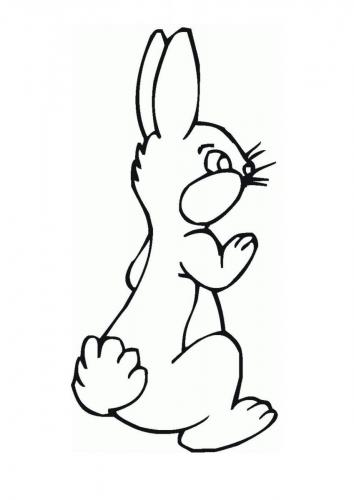 Disegnare coniglio