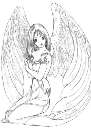 angeli manga