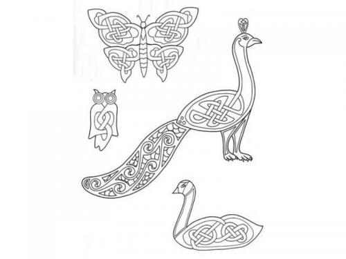 disegni animali