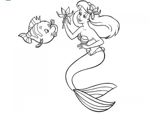 Ariel e Flounder 