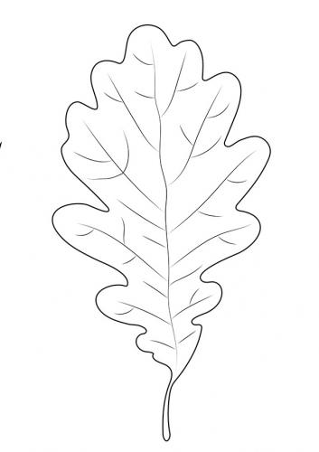 disegni con foglie