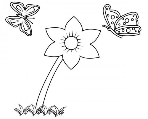 disegni da colorare fiori e farfalle