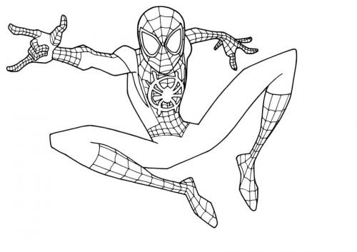 disegni da colorare uomo ragno