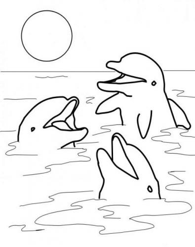 disegni delfini colorati