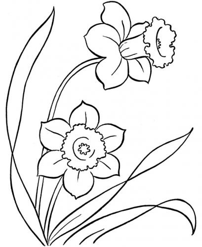 disegni di fiori da colorare e stampare