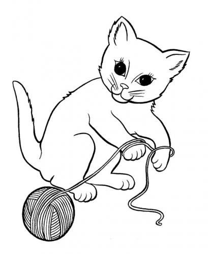 disegni di gatto
