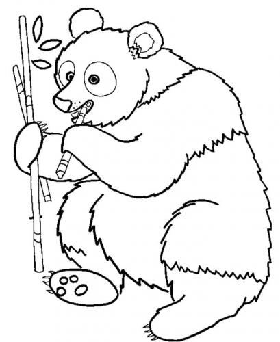 disegni di panda