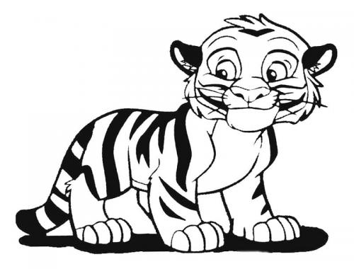 disegni facili tigre