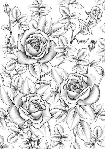 rose da colorare