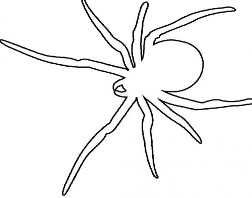 disegno stilizzato ragno