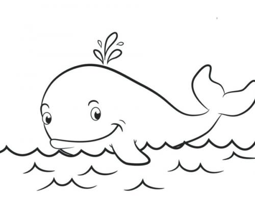 balena che sorride