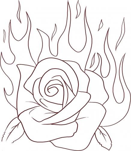 rosa in fiamme