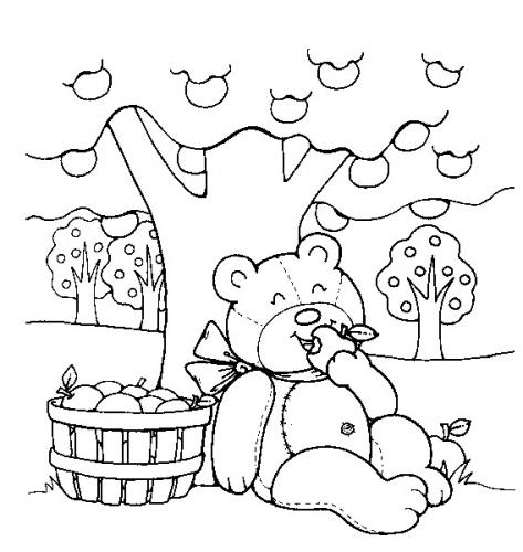 disegno da colorare orso