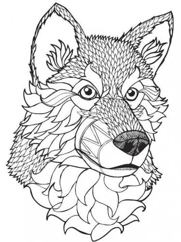 disegno del lupo