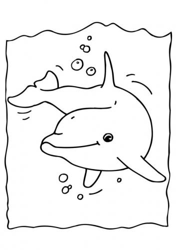 disegno delfino