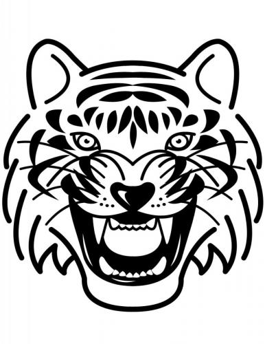 disegno della tigre