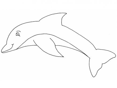 disegno di delfino
