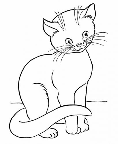 disegno gatti