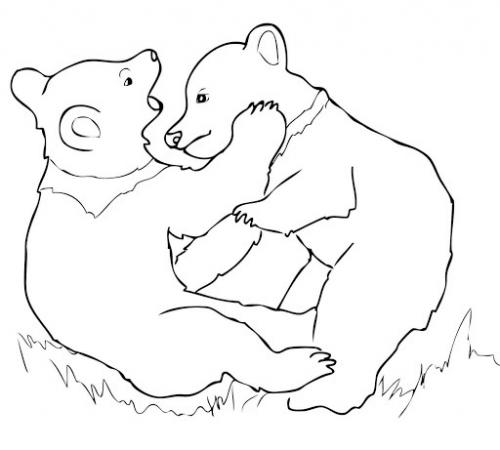due orsi 