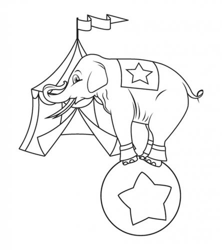elefanti disegnati
