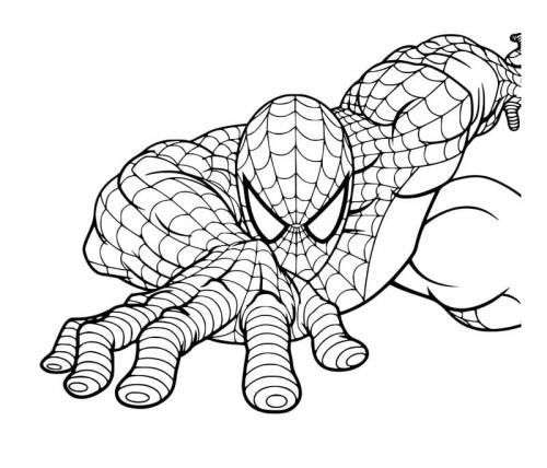 foto di spiderman da colorare