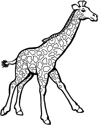 foto disegno giraffa