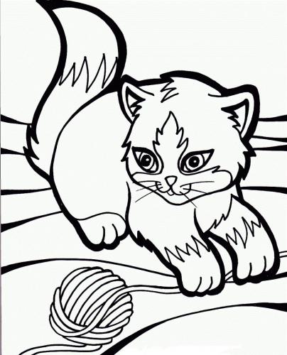 gatto da disegnare