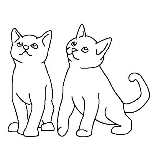 gatto disegni