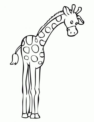 giraffe immagini da colorare